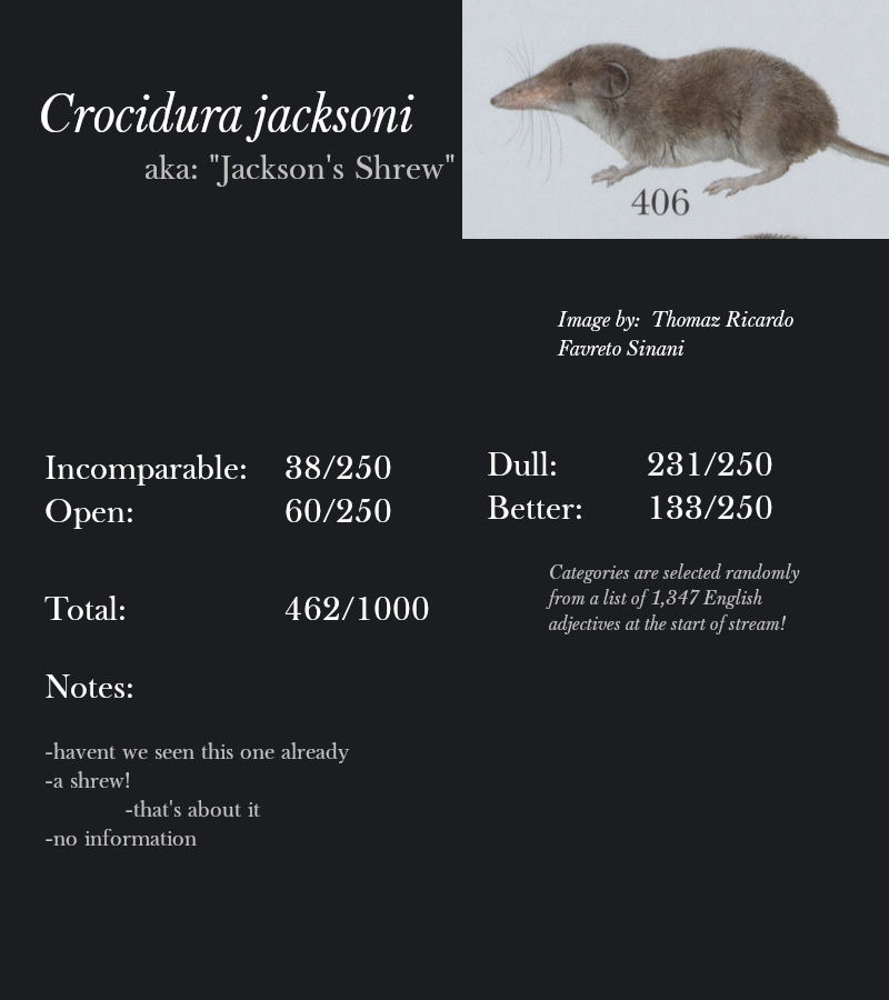 Crocidura jacksoni